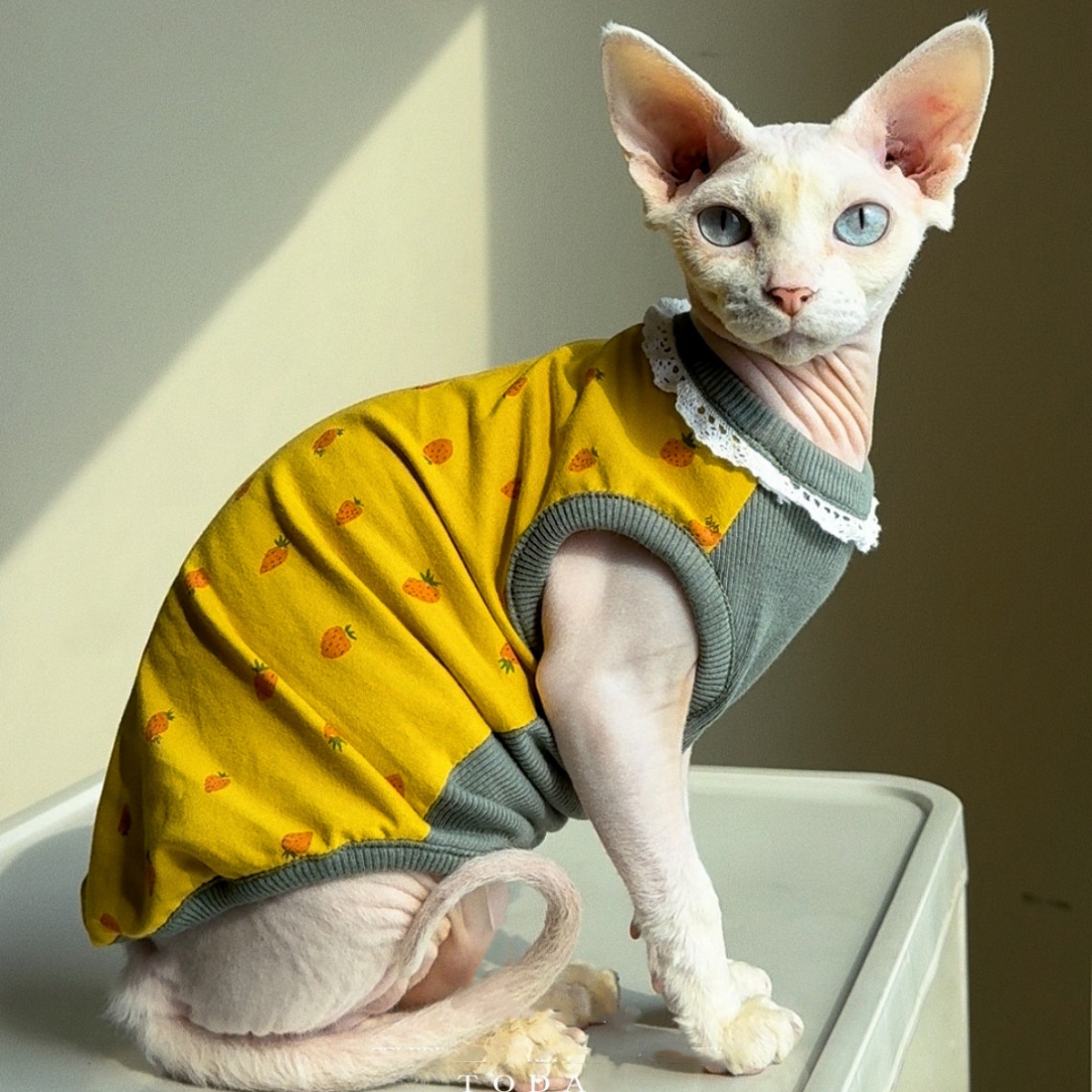 Summer Green Clothing - Kleidung für Katzen Frühling Süßes Gelb-Grünes